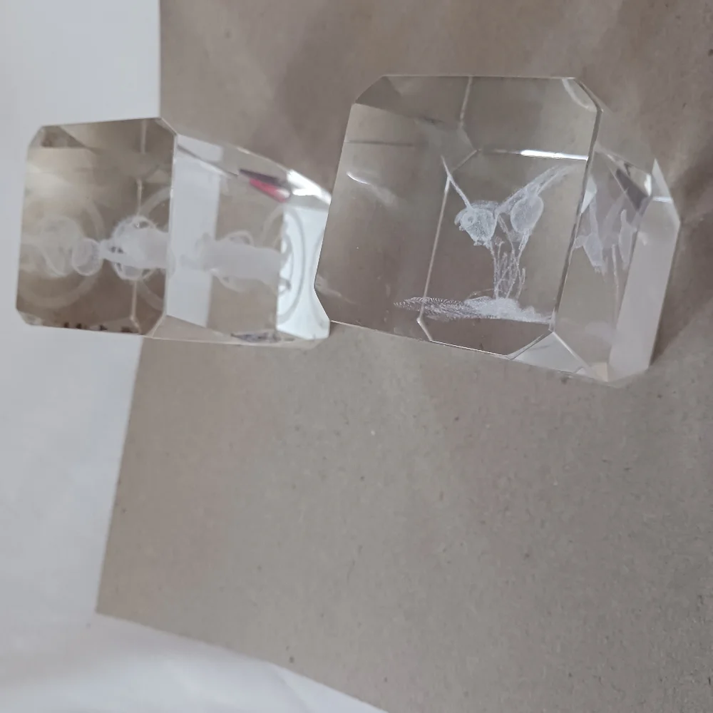1#Crystal Glass Blocks with Etched Designs Cat&birds Heavy Paperweights - Picture 5 of 8